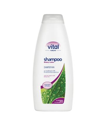 Vital Σαμπουάν βαμένα 1000ml